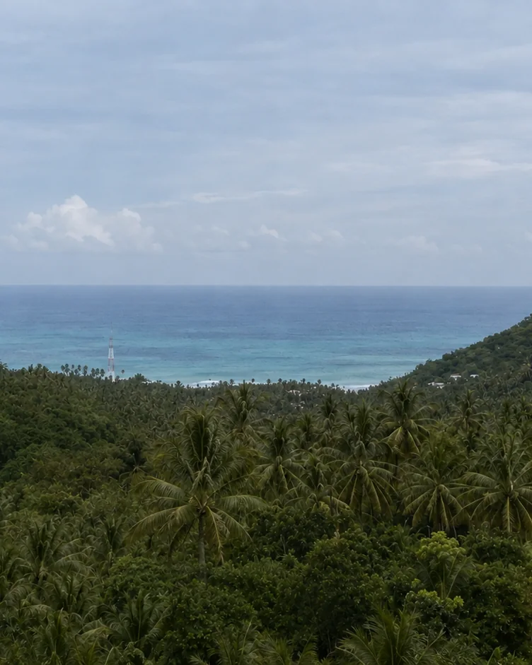 Ocean and jungle view from the Konekt Plots land in the hills above Kuta, South Lombok